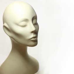 ENVIO CABEZA A CANARIAS