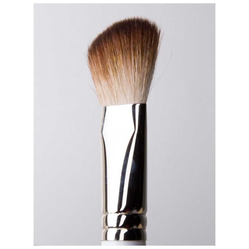 COLORETE RACCOON SESGADO